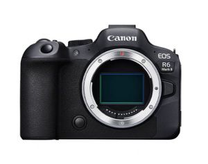 Aparat cyfrowy Canon EOS R6 Mark II Body +Dodatkowy akumulator LP-E6NH